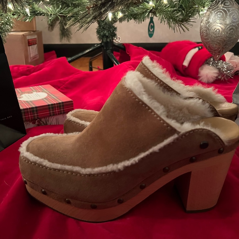 UGG Aubriana Clog Chestnut Suede